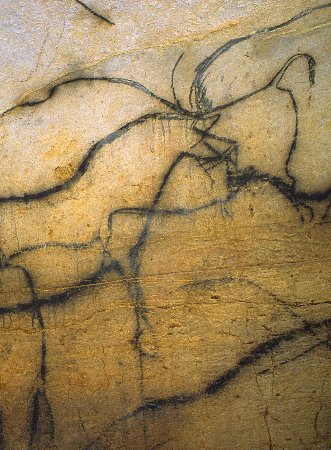 pech merle prehistory centre