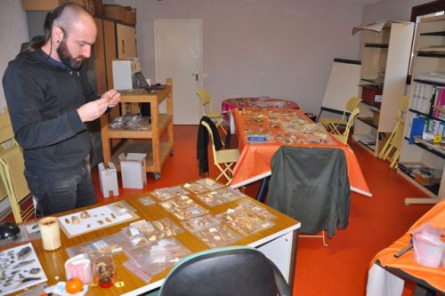 Les préhistoriens étudient les collections du musée