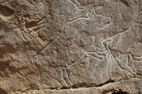 « Lascaux sur le Nil » : les gravures rupestres de Qurta (Egypte)