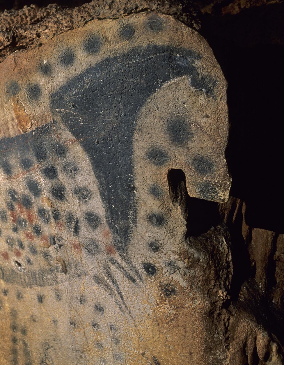 grotte du pech merle