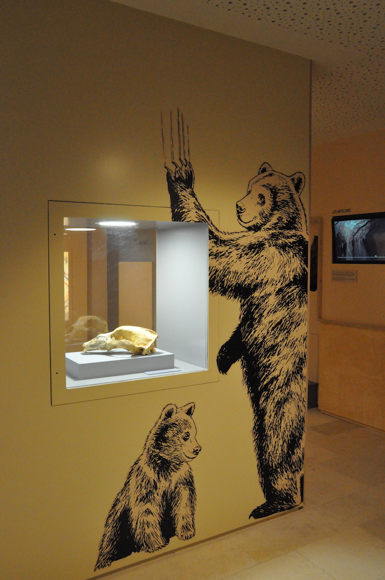 salle art ours Musée Pech Merle