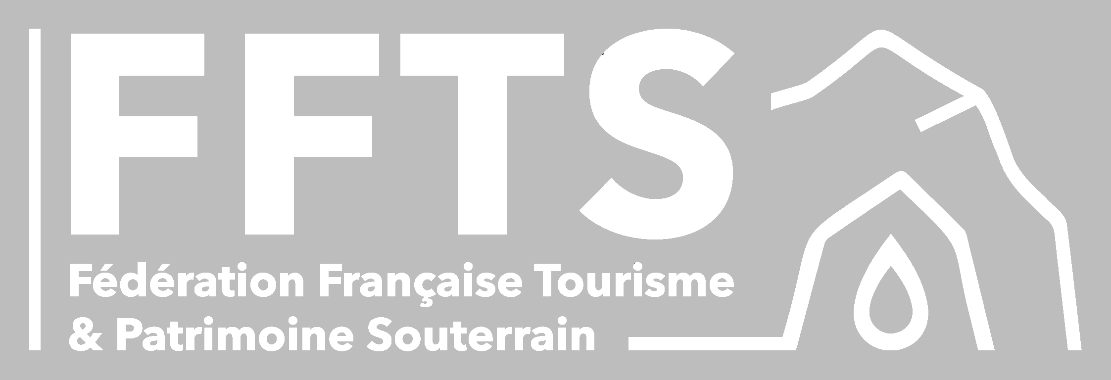 Logo FFTS 2022 NB