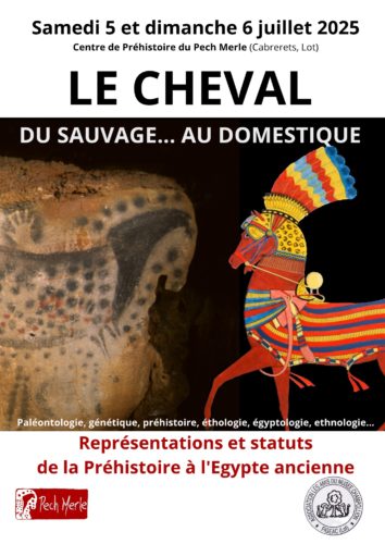 Rencontres autour du cheval
