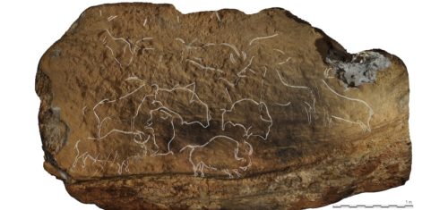 Actualité des recherches dans la grotte de La Mouthe